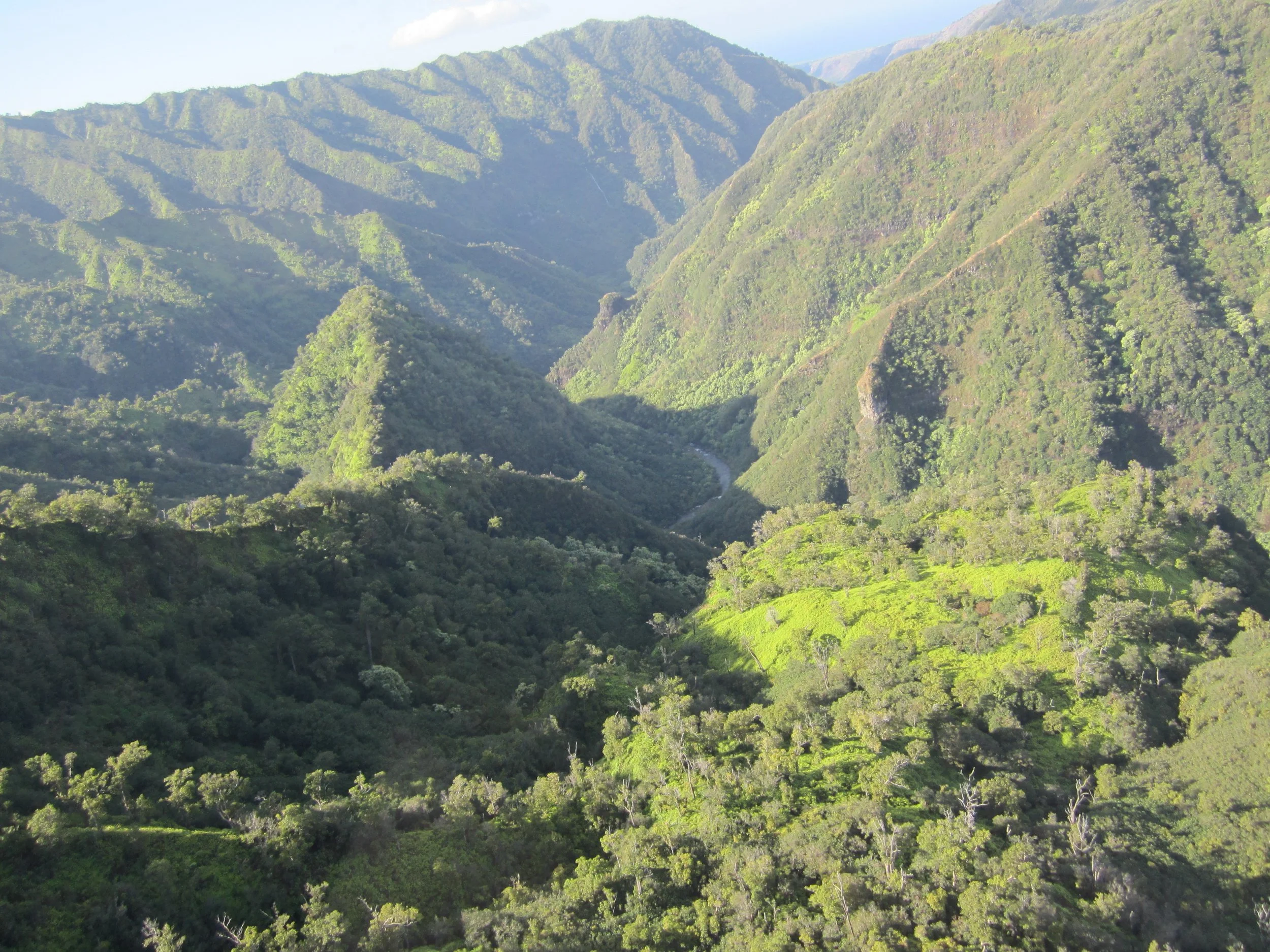 Lush green mountains with a winding path — symbolizing the Trusted Path Solutions approach