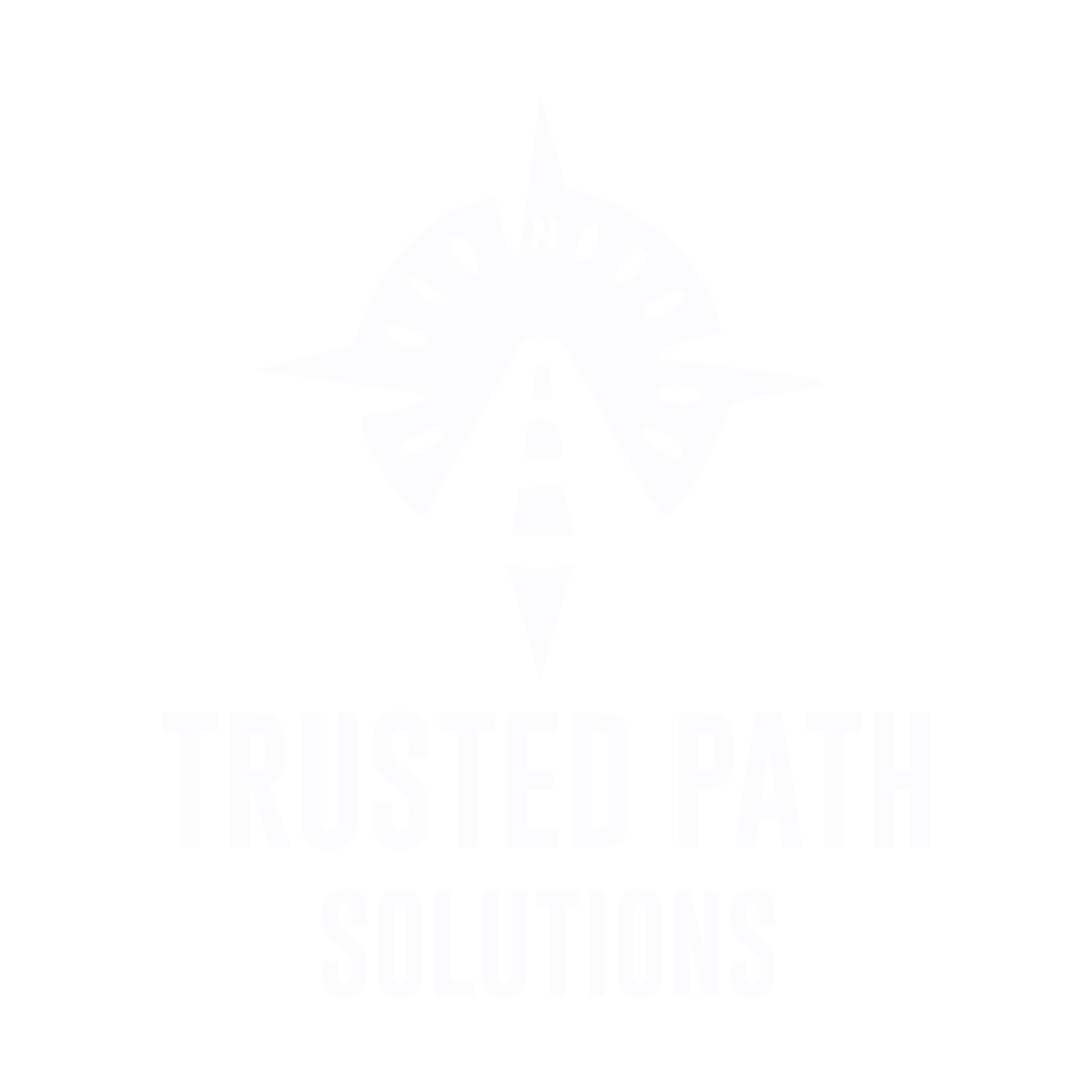 Trusted Path Solutions
